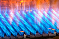 Garderhouse gas fired boilers